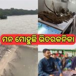 ପାଟଣା ବନାଞ୍ଚଳକୁ ଲେଉଟିଲେ ହାତୀପଲ