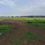 ମୁଖ୍ୟମନ୍ତ୍ରୀ ଶ୍ରୀ ମୋହନ ଚରଣ ମାଝୀ ଙ୍କୁ ତାଙ୍କ ବାସଭବନ ରେ ପୂର୍ବତନ ରାଜ୍ୟପାଳ ପ୍ରଫେସର   ଗଣେଶୀ  ଲାଲ୍ ସୌଜନ୍ୟମୂଳକ ସାକ୍ଷାତ କରୁଛନ୍ତି  ।