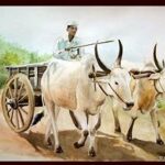 ସମୁଦ୍ର କଙ୍କଡା ଦେଇଛି ରୋଜଗାର, ବିଦେଶକୁ ରପ୍ତାନି ହେଉଛି ସିଝା କଙ୍କଡା