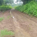 ନ୍ୟାୟ ଦାବି ନେଇ ଥାନା ଆଗରେ ଅହରାତ୍ର ଧାରଣା